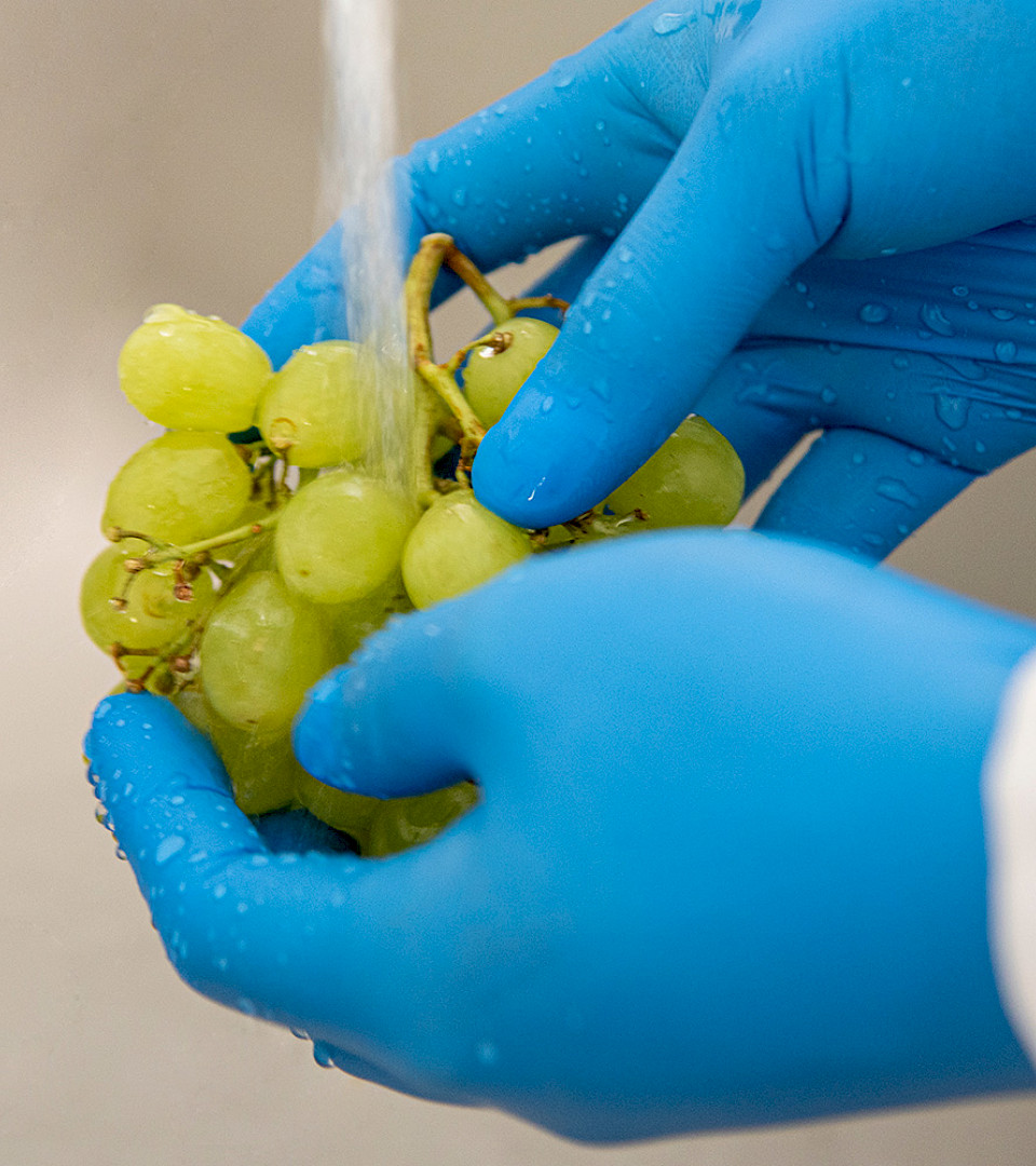 Hase Safety Gloves GmbH, Arbeitsschutzprodukte, Sicherheitshandschuhe, Schutzhandschuhe, Handschutz