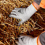 Hase Safety Gloves GmbH, Arbeitsschutzprodukte, Sicherheitshandschuhe, Schutzhandschuhe, Handschutz